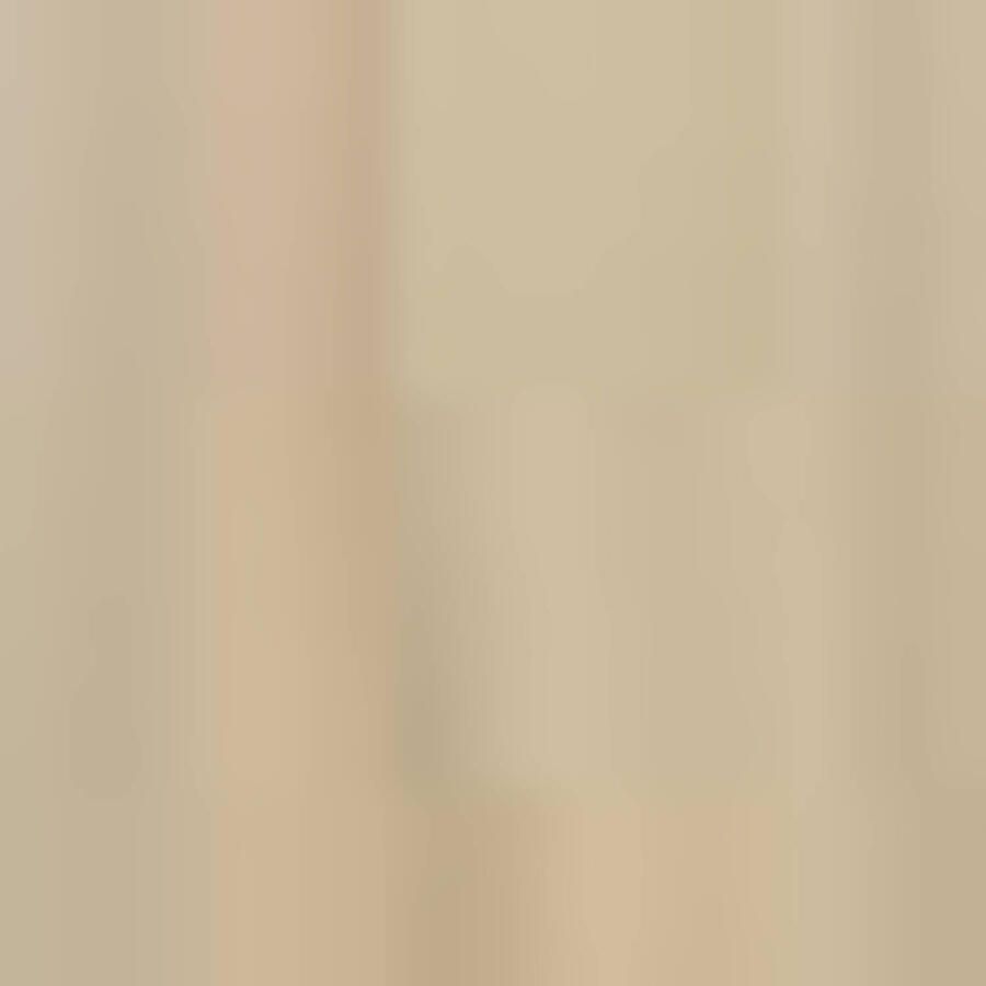 America Today regular T-shirt met backprint beige - Foto 2
