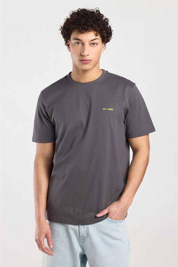 America Today regular T-shirt met backprint grijs