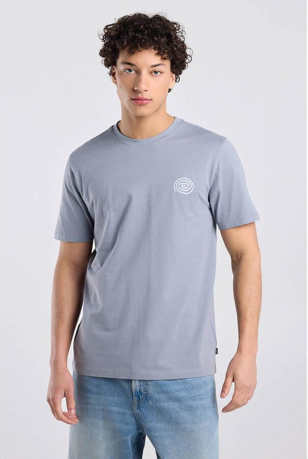 America Today regular T-shirt met backprint grijs
