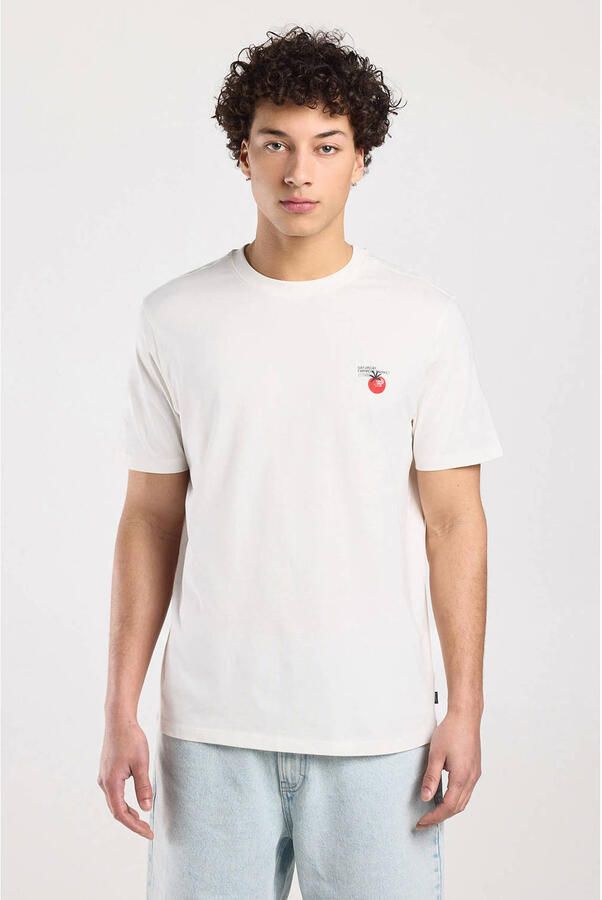 America Today regular T-shirt met backprint wit