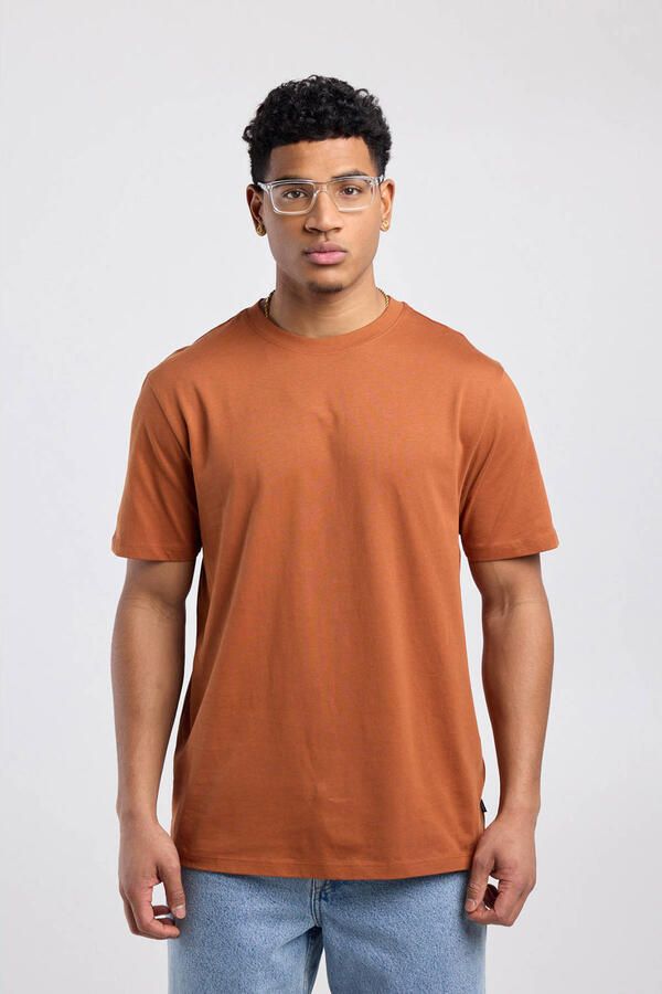 America Today regular T-shirt terra