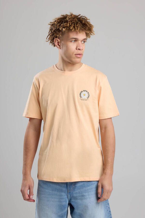 America Today regular T-shirt zalm