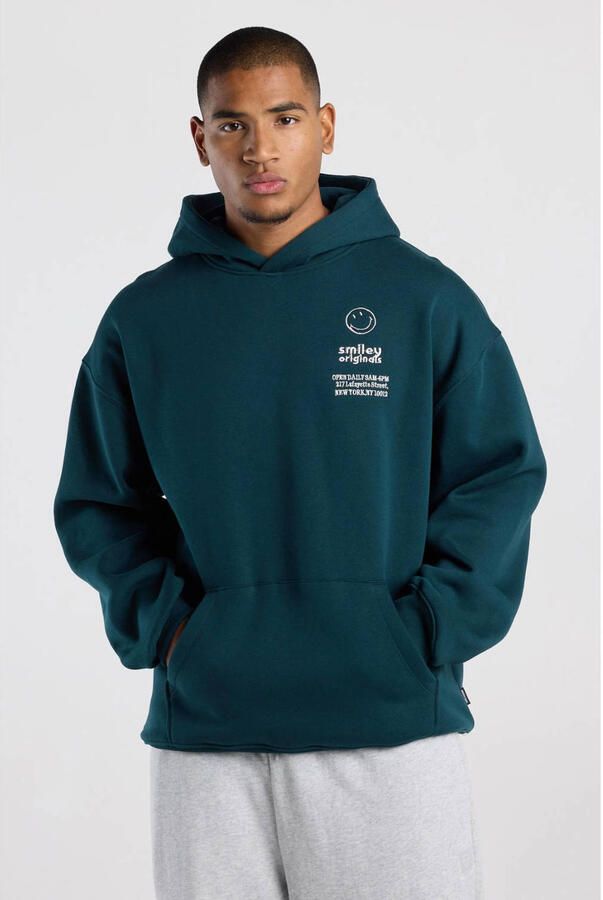 America Today relaxed fit hoodie met backprint jade
