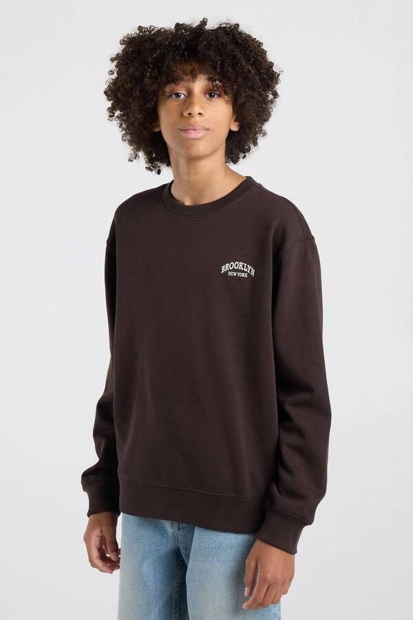 America Today sweater met backprint bruin Backprint