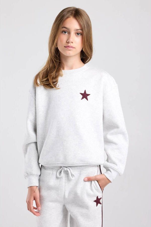 America Today sweater met backprint grijs
