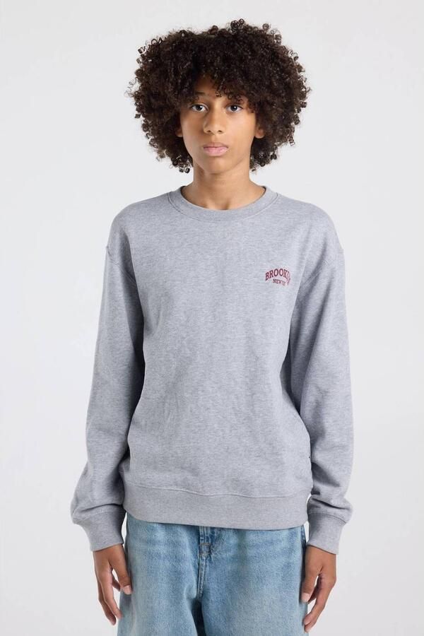 America Today sweater met backprint grijs