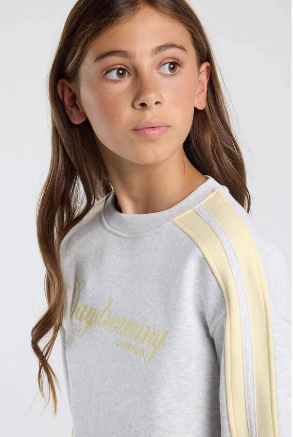 America Today sweater met tekst grijs geel Trui Meerkleurig - Foto 2
