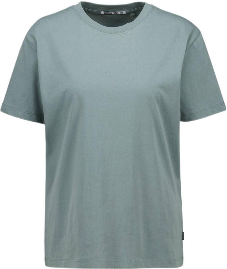 America Today T-shirt grijsblauw