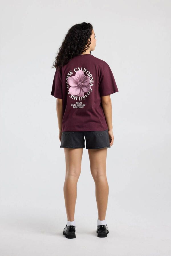 America Today T-shirt met print donkerrood - Foto 3