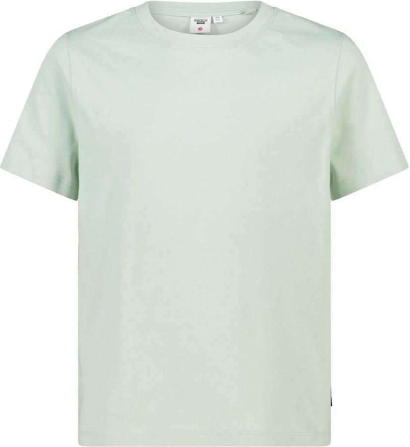 America Today T-shirt mintgroen