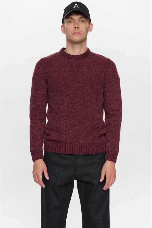 ANERKJENDT Heren Truien & Vesten Aksune Chenille Knit Bordeaux - Foto 5