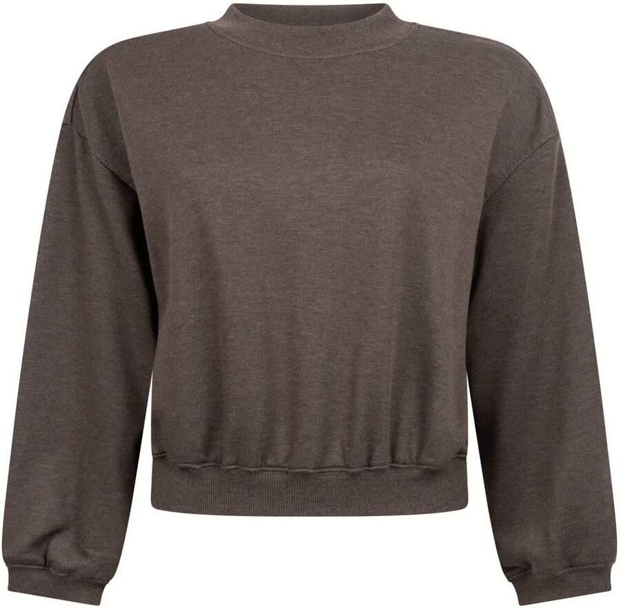 Another-Label cropped trui bruin