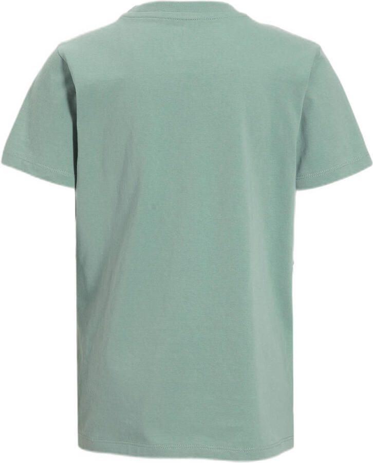 Anytime T-shirt lichtgroen Jongens Katoen Ronde hals Effen 122 128