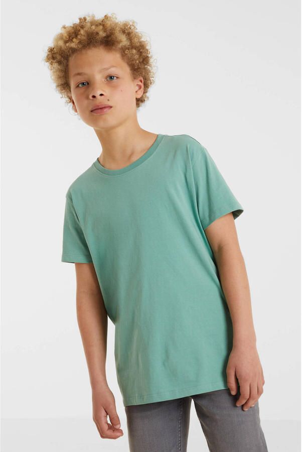 Anytime T-shirt lichtgroen Jongens Katoen Ronde hals Effen 122 128 - Foto 2