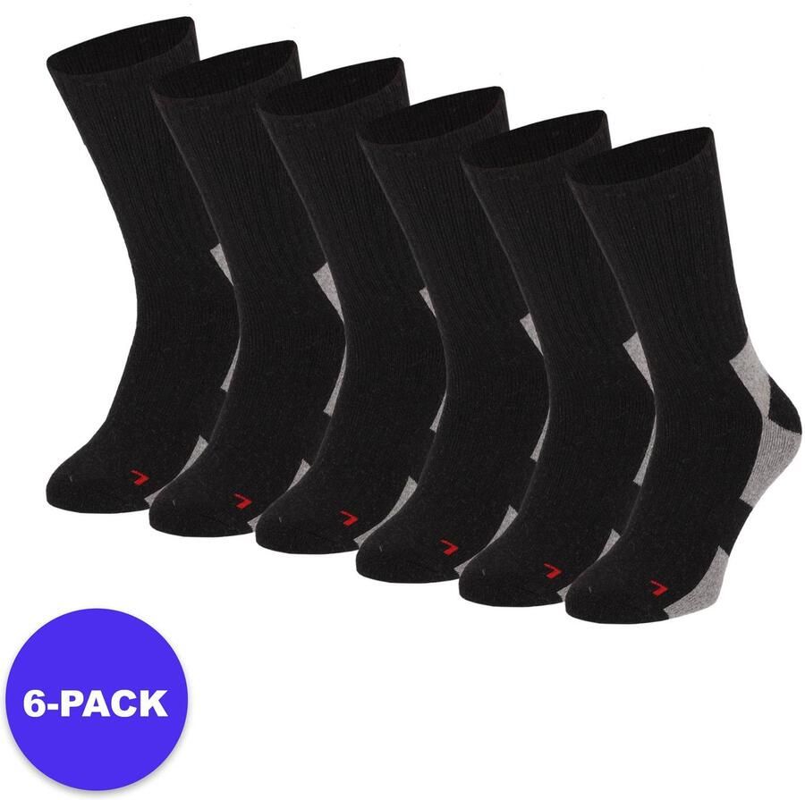 Apollo Thermo Wandelsokken 6-Pack