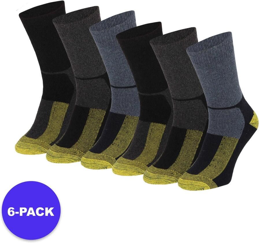 Apollo Wollen werksokken Thermo 6-Pack