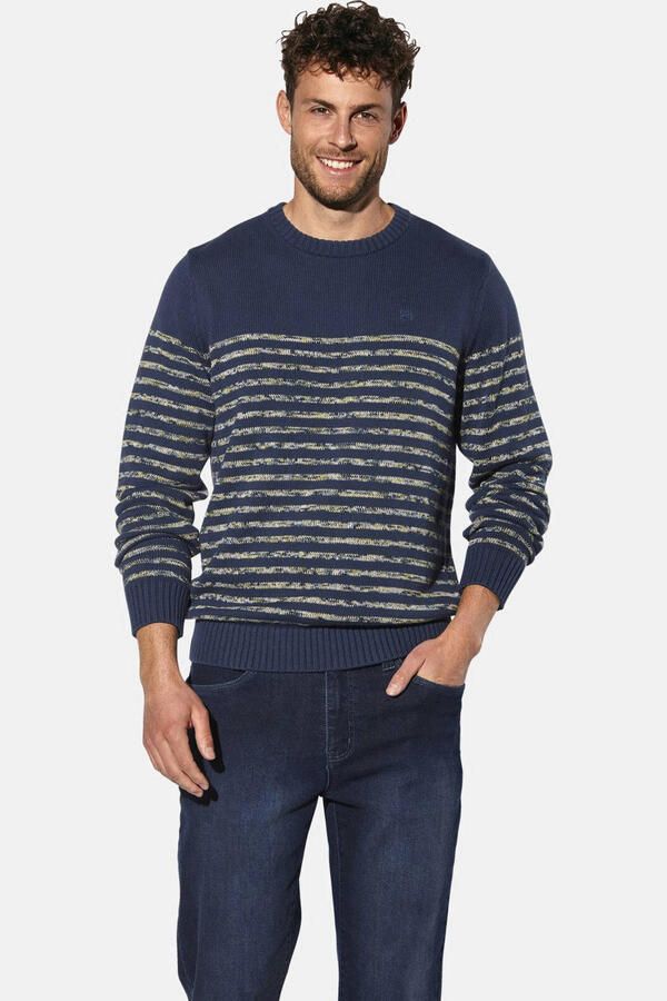 Babista katoenen regular fit gestreepte trui Plus Size donkerblauw