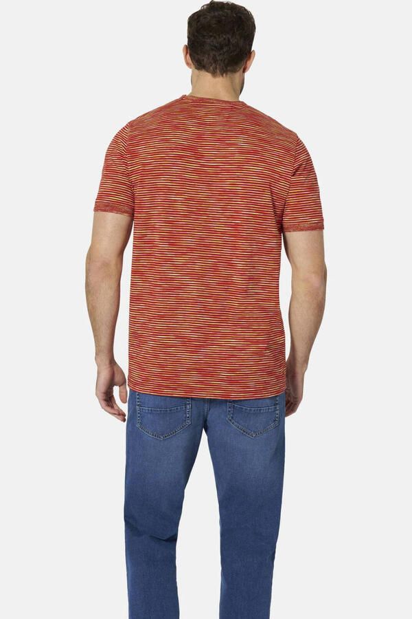 Babista regular fit gestreept T-shirt +FIT Collectie donkerrood - Foto 3