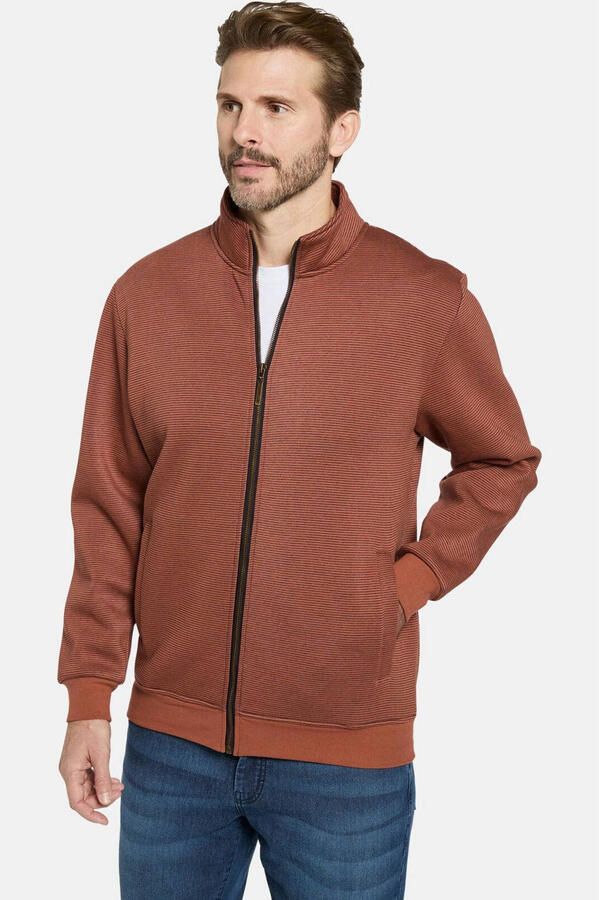 Babista sweatvest Plus Size lichtbruin