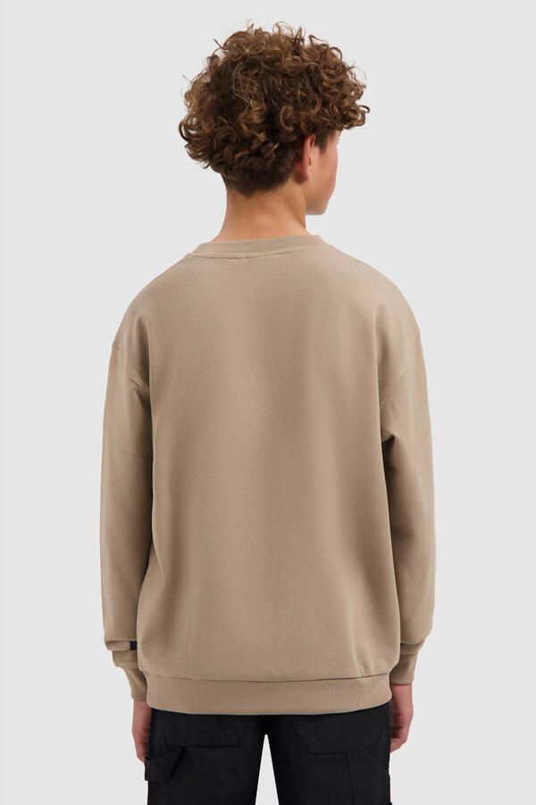 Ballin sweater beige Effen | Sweater van - Foto 2
