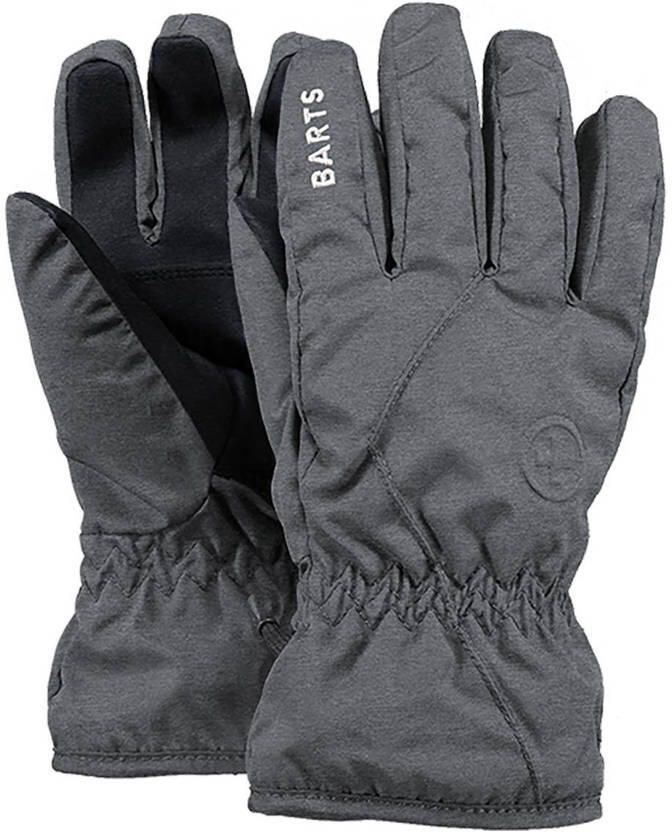 Barts Basic Skigloves Kids ski-handschoenen grijs