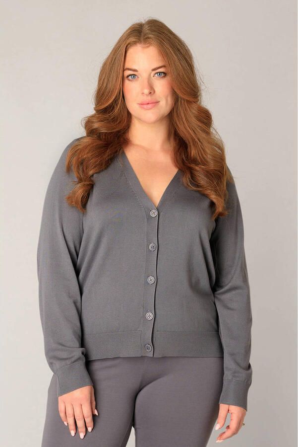 Base Level Curvy cardigan grijs