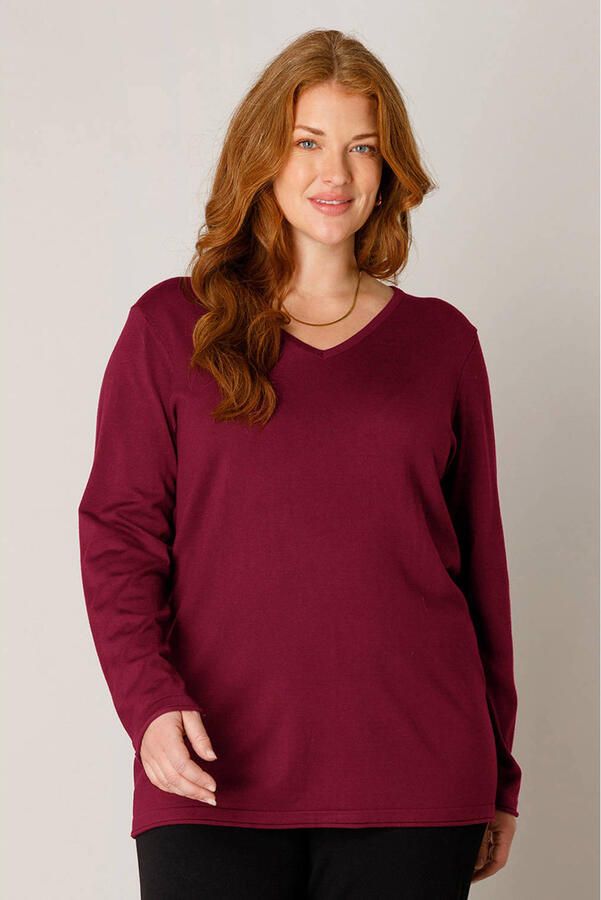 Base Level Curvy longsleeve
