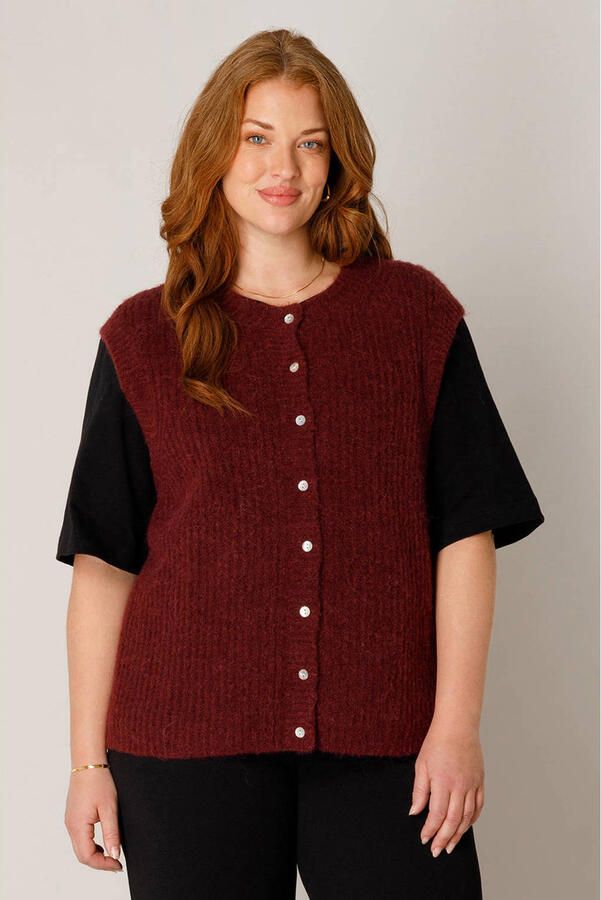 Base Level Curvy top Plus Size donkerrood