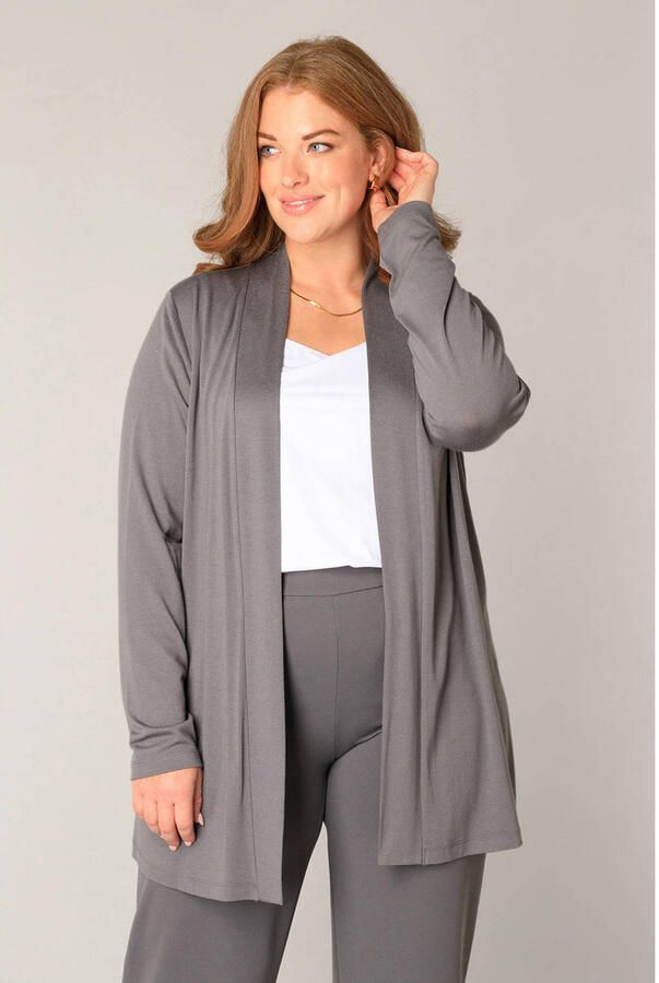 Base Level Curvy vest grijs fijn gebreid