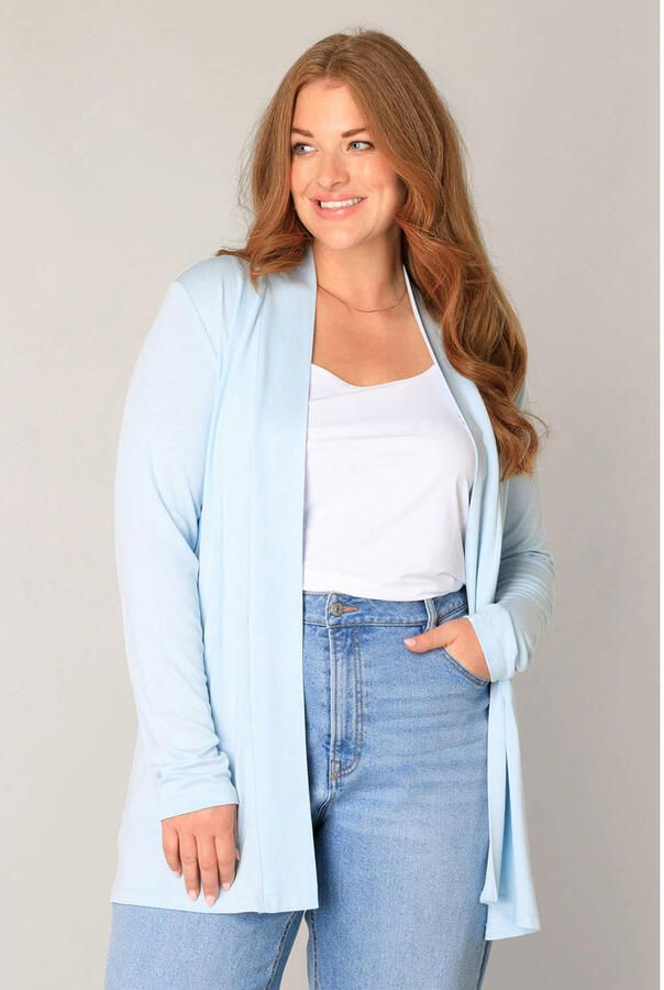 Base Level Curvy vest lichtblauw fijn gebreid