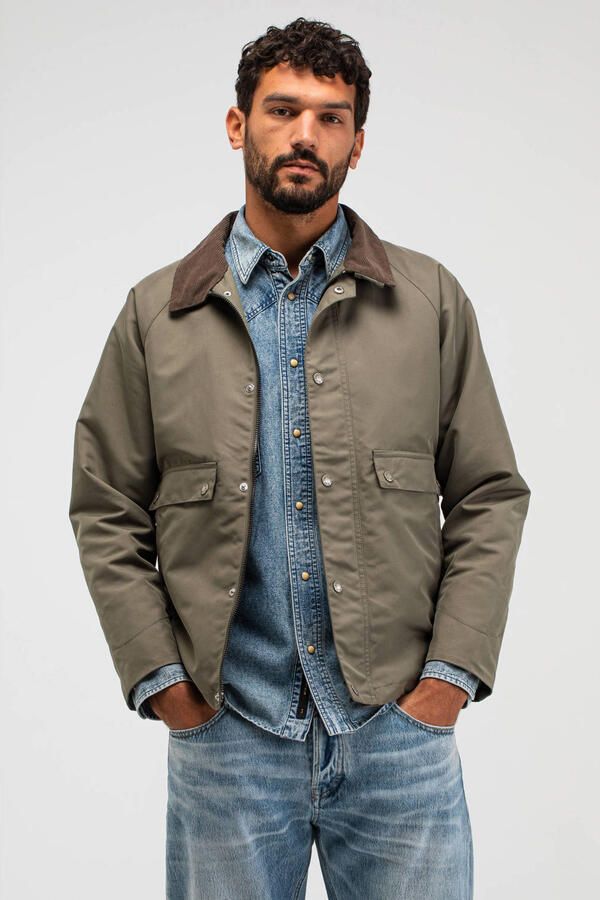 Butcher of Blue jack kaki