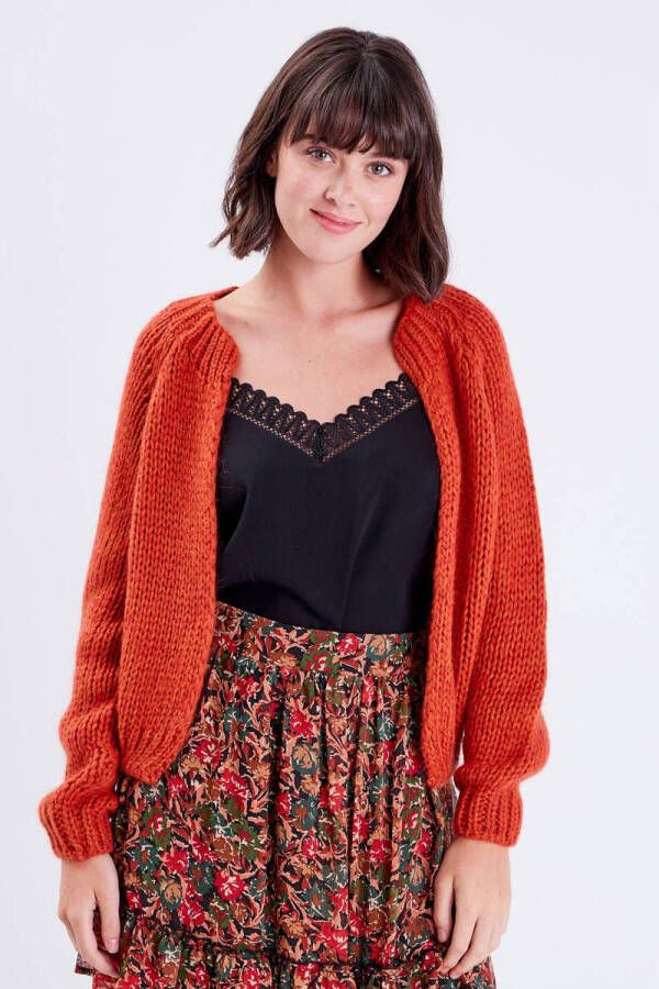 Cache gebreid vest oranje