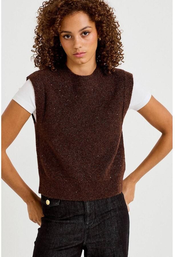 Cache spencer met glitters en wol donkerbruin
