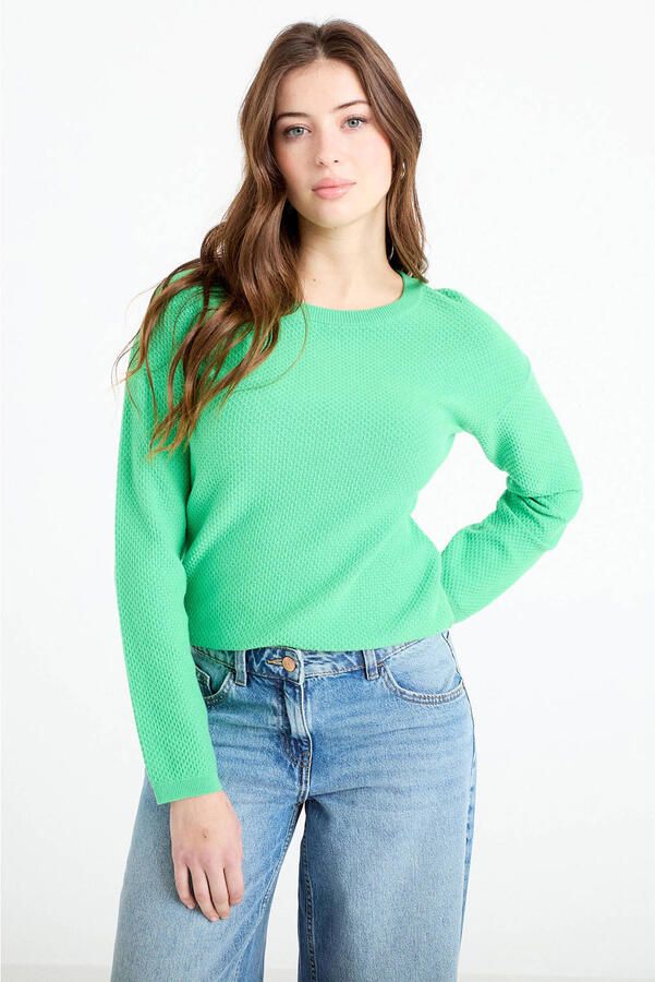 Cache sweater groen gebreid