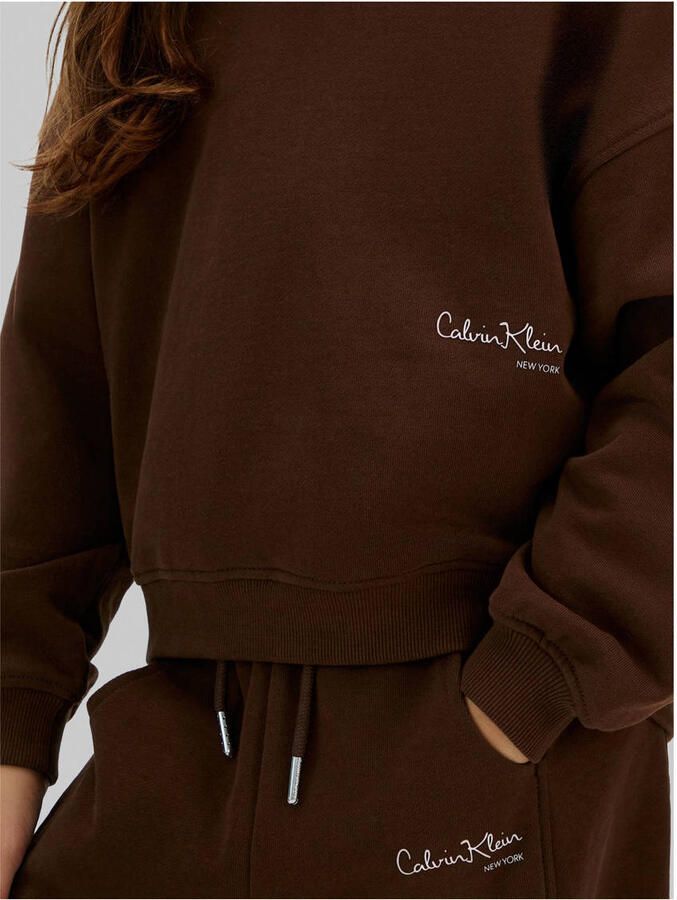 Calvin Klein hoodie donkerbruin - Foto 2