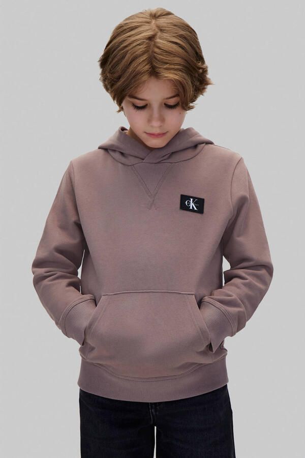 Calvin Klein hoodie grijsbruin