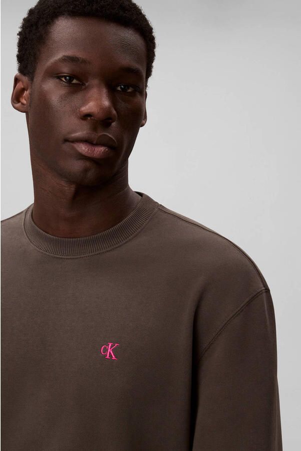 Calvin Klein Sweatshirt regular fit ronde hals