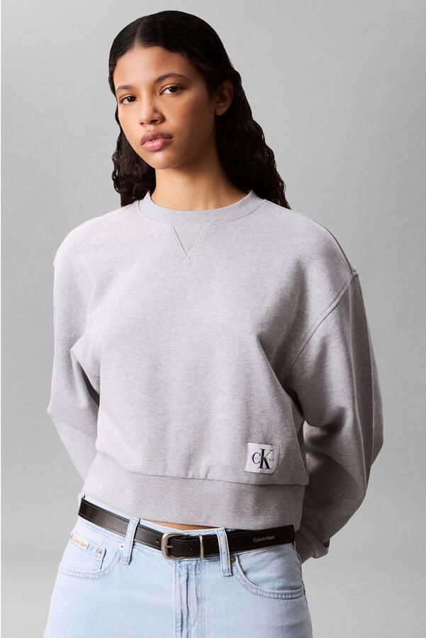 CALVIN KLEIN JEANS sweater met logo grijs