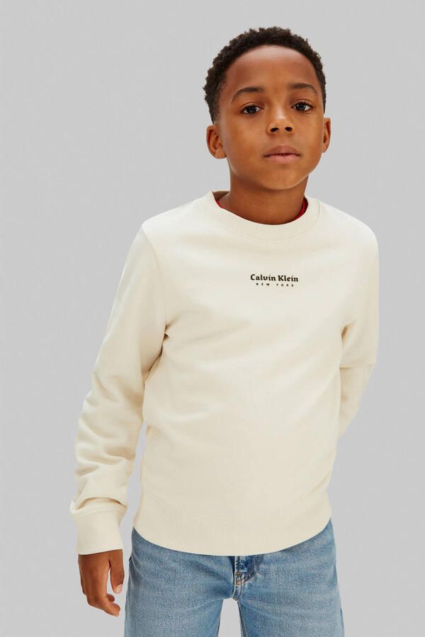 Calvin Klein sweater grijs