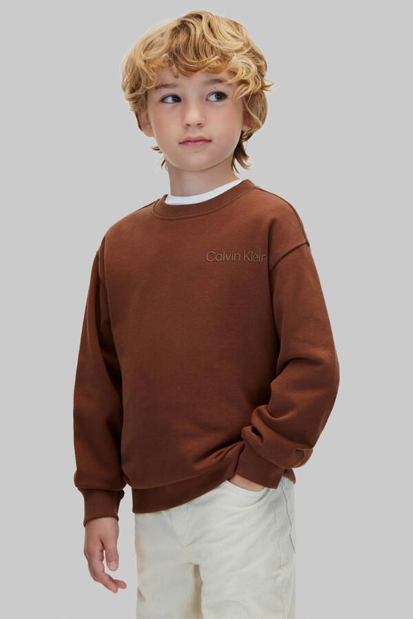 Calvin Klein sweater met backprint bruin