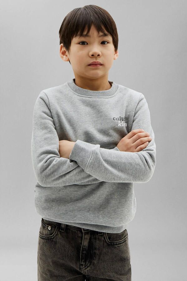 Calvin Klein sweater met backprint grijs