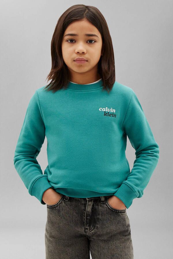 Calvin Klein sweater met backprint groen