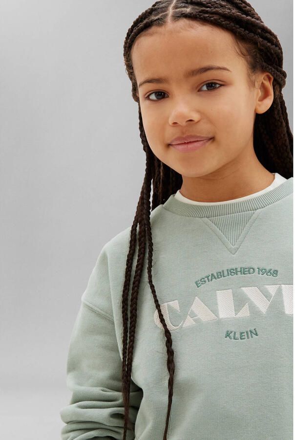 Calvin Klein sweater met logo lichtgroen - Foto 2