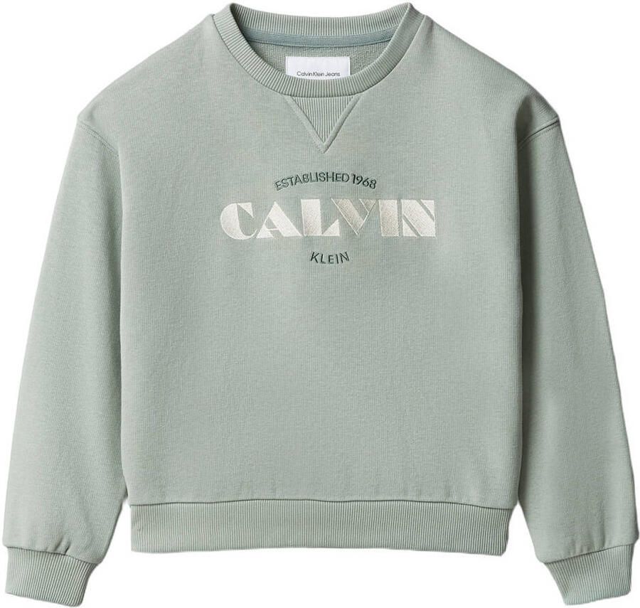 Calvin Klein sweater met logo lichtgroen
