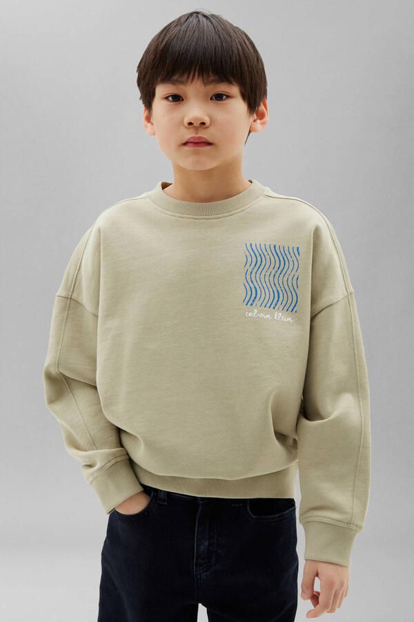 Calvin Klein sweater met print beige