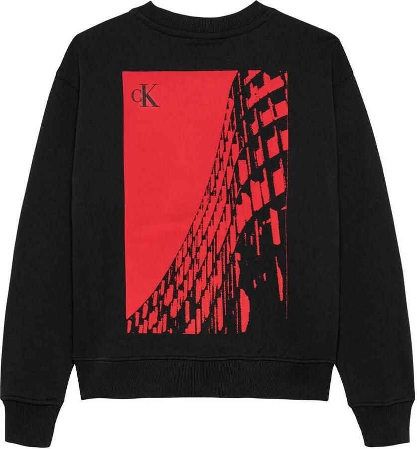 Calvin Klein Sweatshirt BACK GRAPHIC TERRY CN voor kinderen tot 16 jaar met grote print