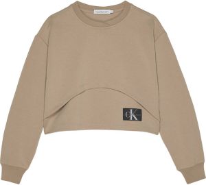 Calvin Klein sweater bruin