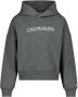 Calvin Klein hoodie met logo grijs Sweater Meisjes Katoen Capuchon Logo 116 - Thumbnail 1