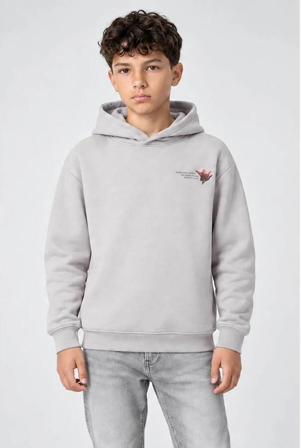Cars hoodie met backprint grijs Sweater Backprint