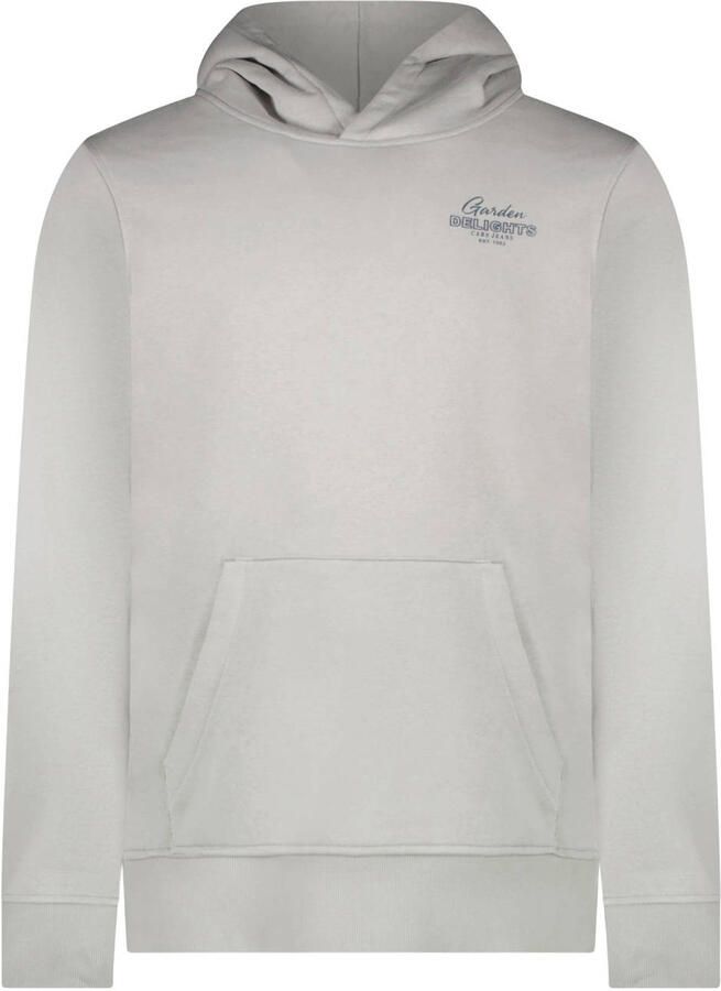 Cars hoodie met backprint lichtgrijs
